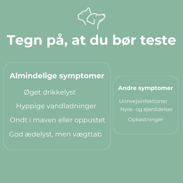 Glukose test