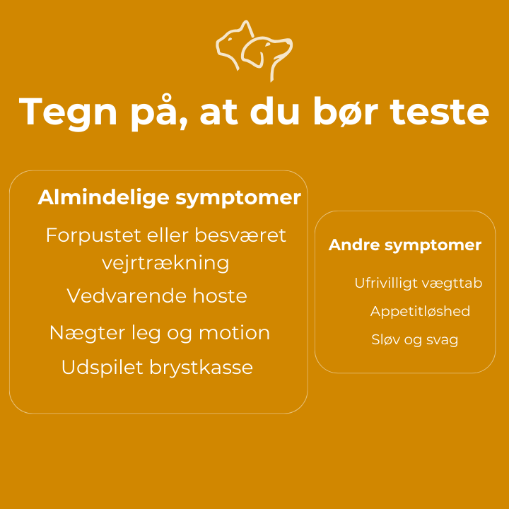 Hjerteorm