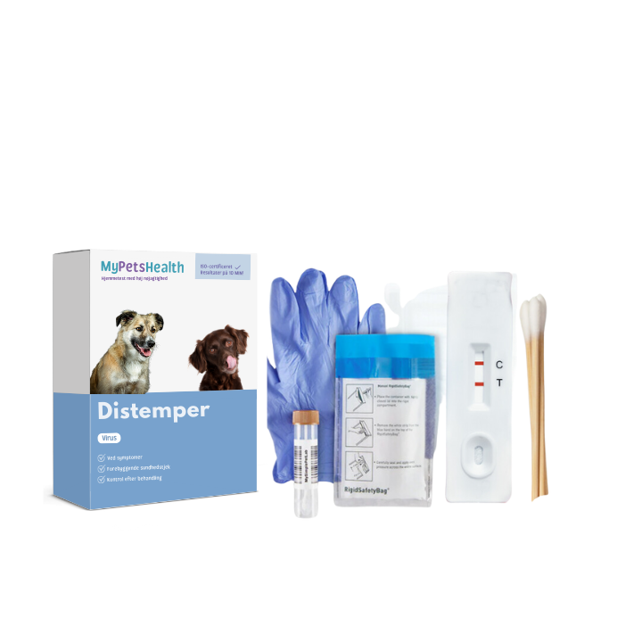 Distemper