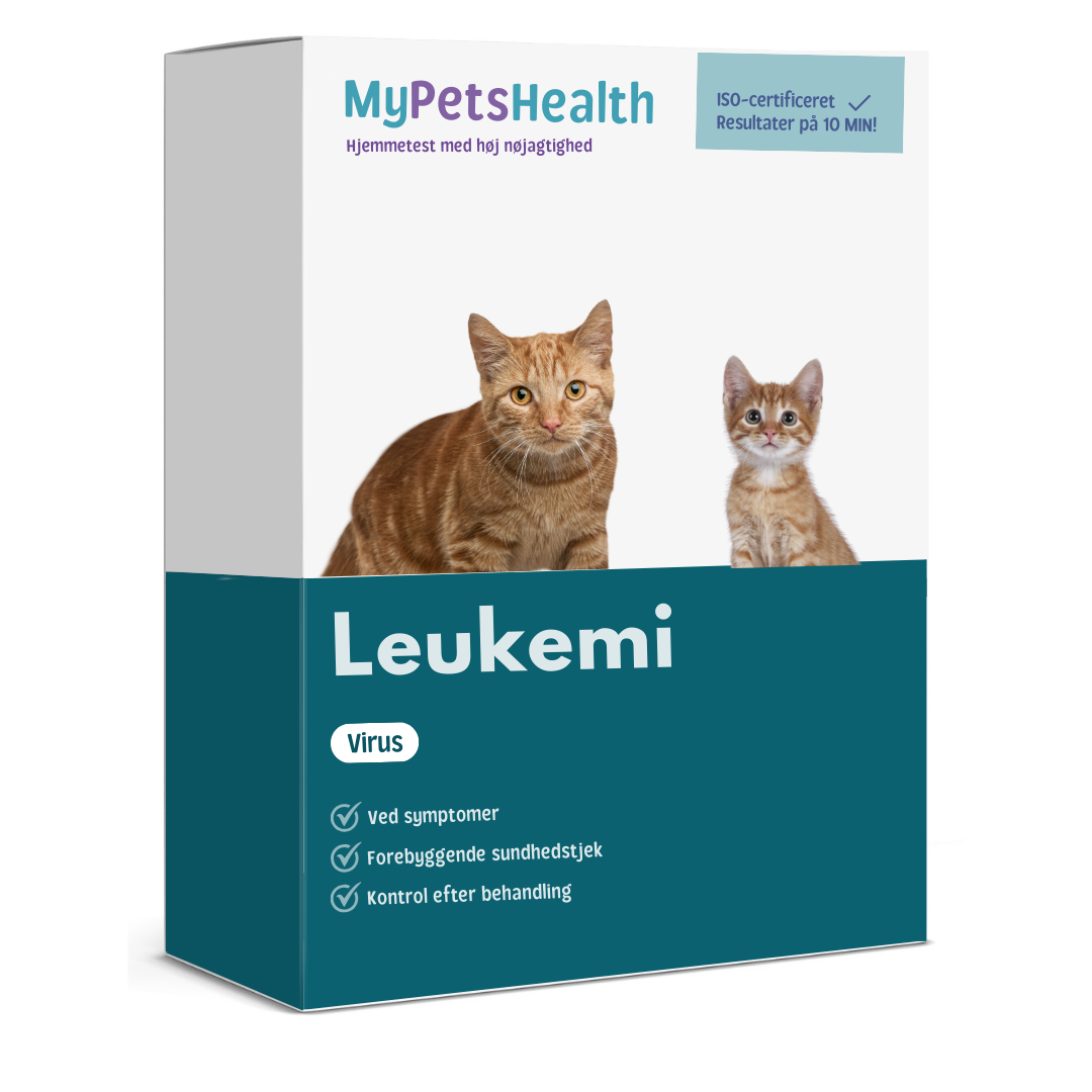 Leukemi