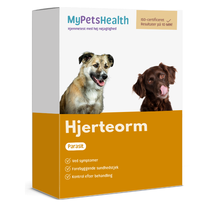 Hjerteorm