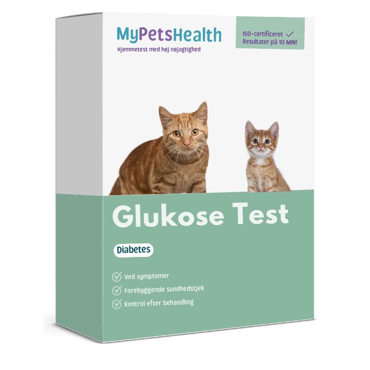 Glukose test