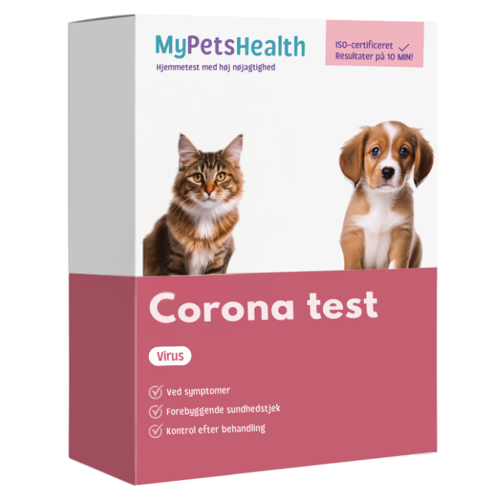 Coronavirus test