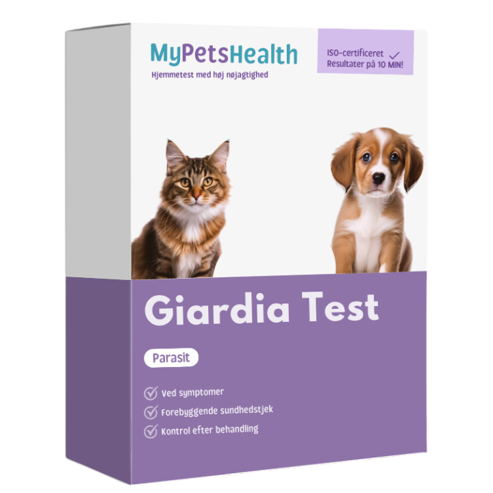 Giardia parasit test