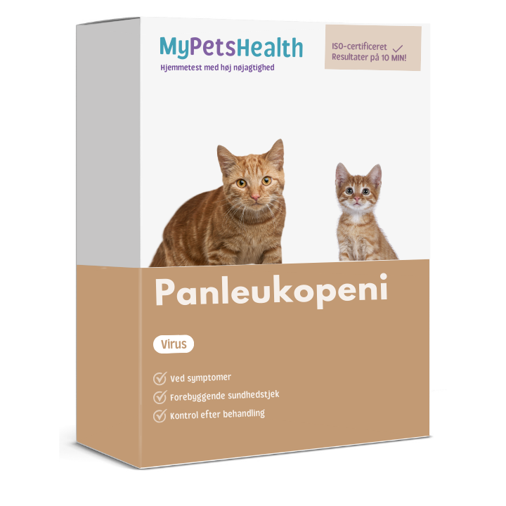 Panleukopeni