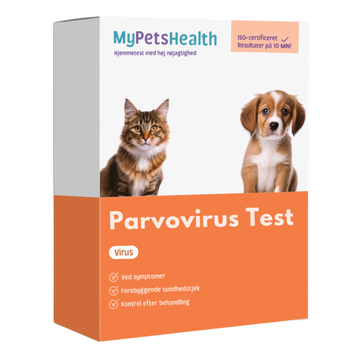 Parvovirus test