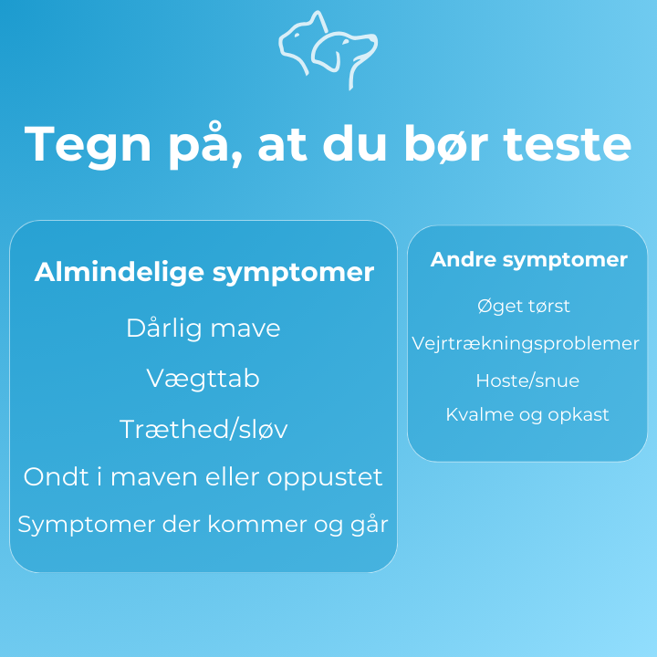 Combo 3 tests for Giardia, Parvo, og Corona virus