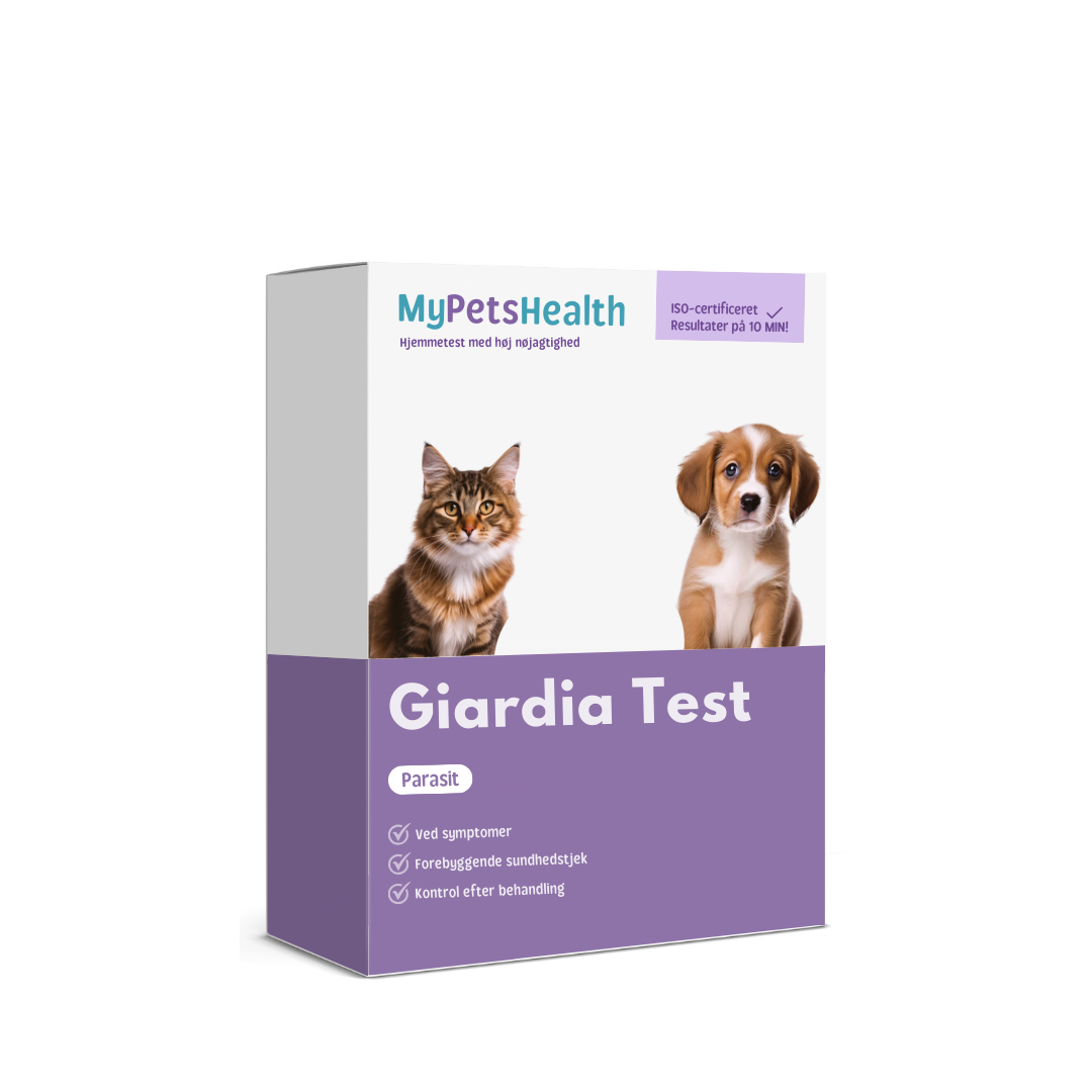 Giardia parasit test