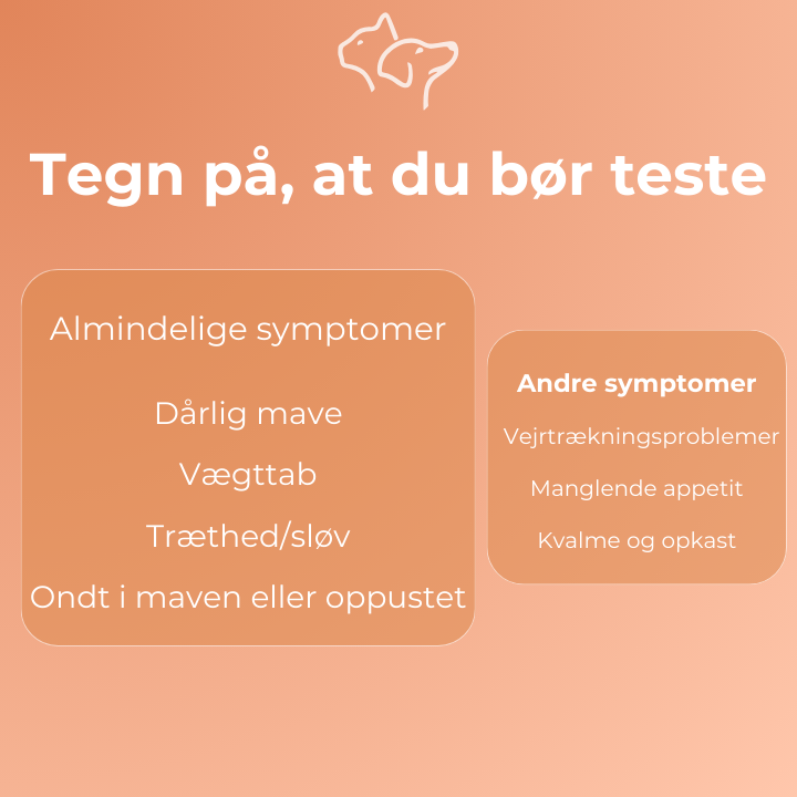 Parvovirus test